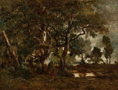 Forêt de Fontainebleau, groupe de grands arbres surplombant la plaine de Clair-Bois à la lisière de Ba... - Pierre Etienne Theodore Rousseau